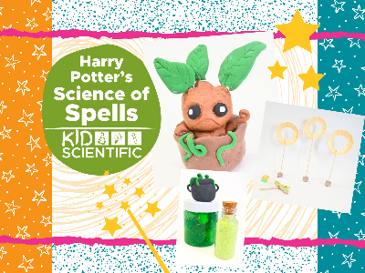 Harry Potter’s Science of Spells Summer Camp (5-12 Years)